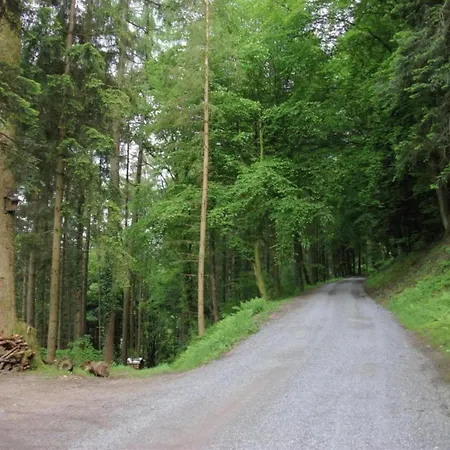 Im Zentrum Von Mahlberg, Cleaning Included *