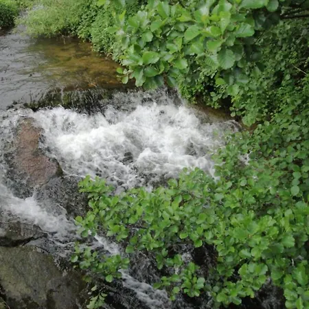 Im Zentrum Von Mahlberg, Cleaning Included Mahlberg